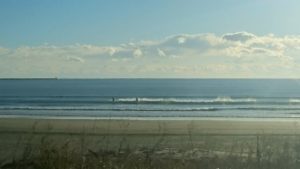 15972368_1299231406802057_7595892598709118973_o